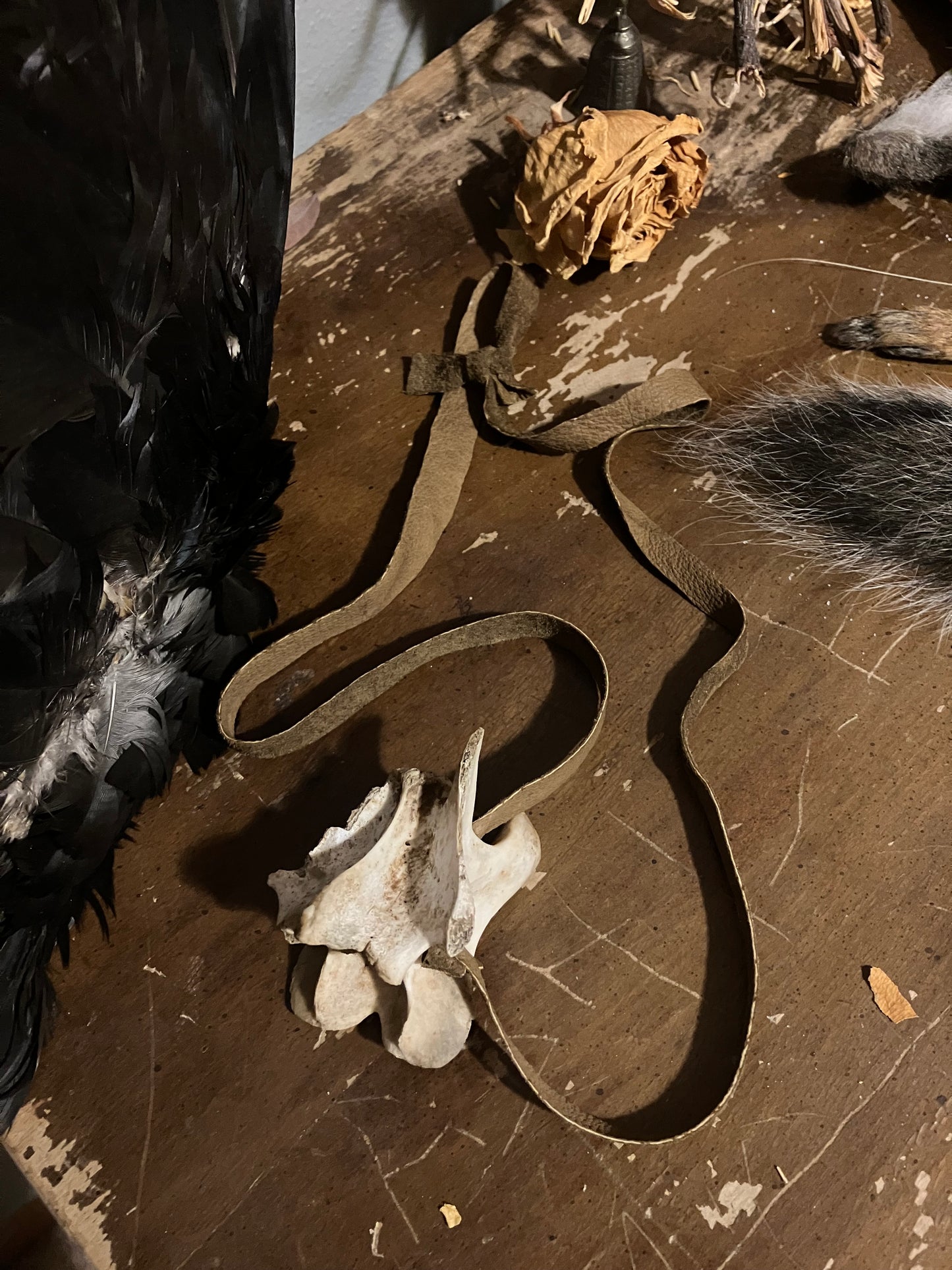 ۪۪۫۫ deer vertebrae ✦ brown leather necklace