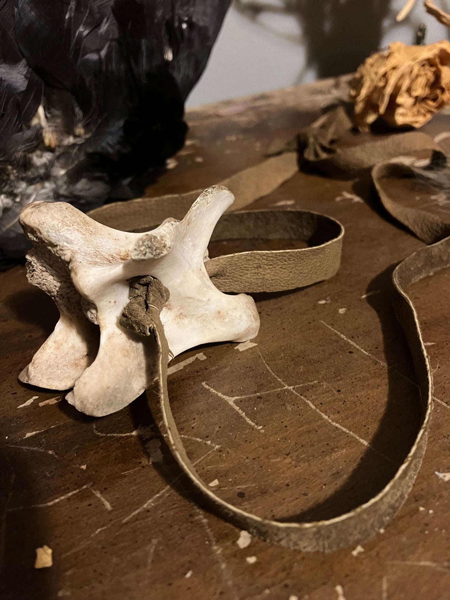 ۪۪۫۫ deer vertebrae ✦ brown leather necklace