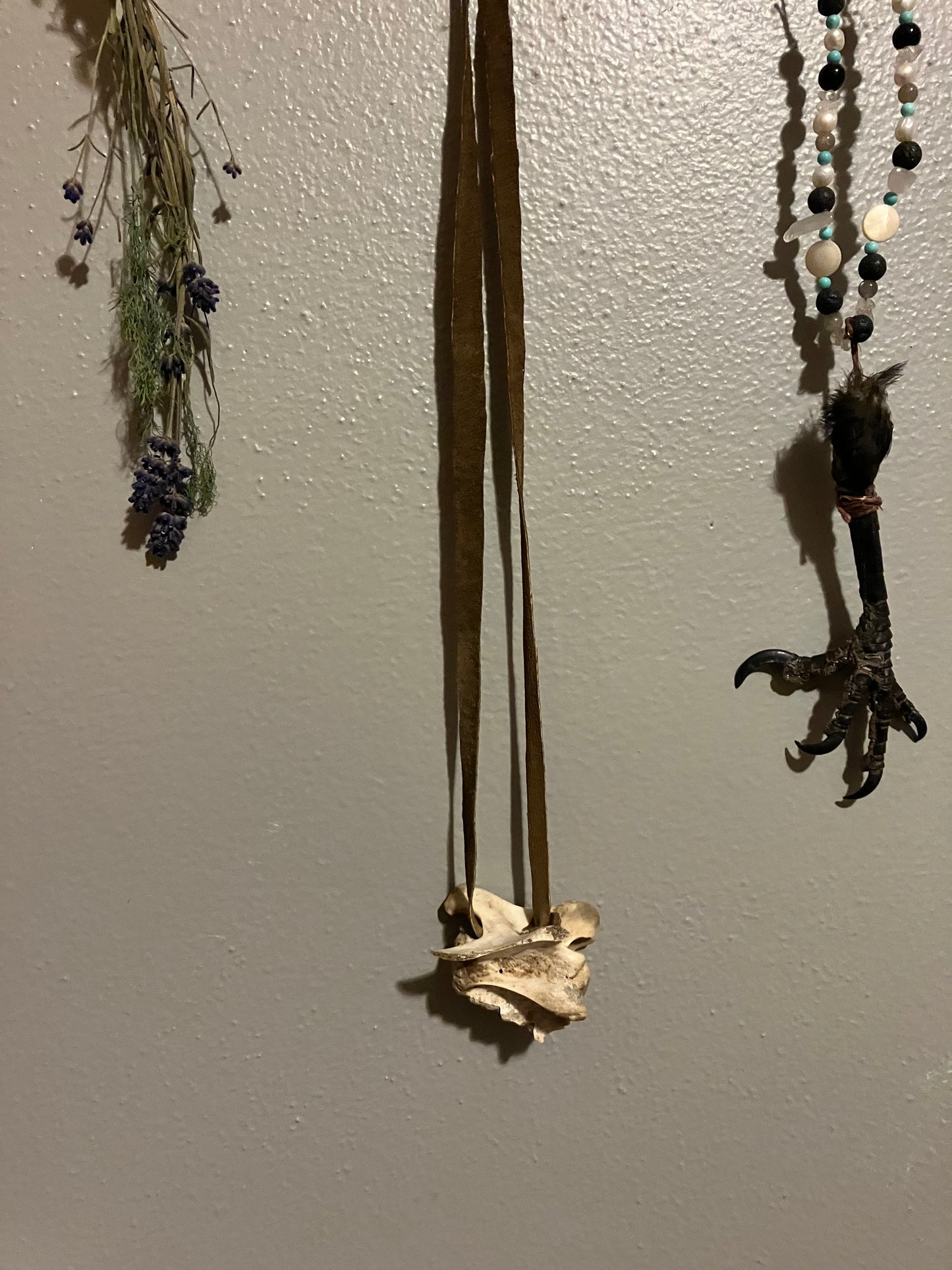 ۪۪۫۫ deer vertebrae ✦ brown leather necklace