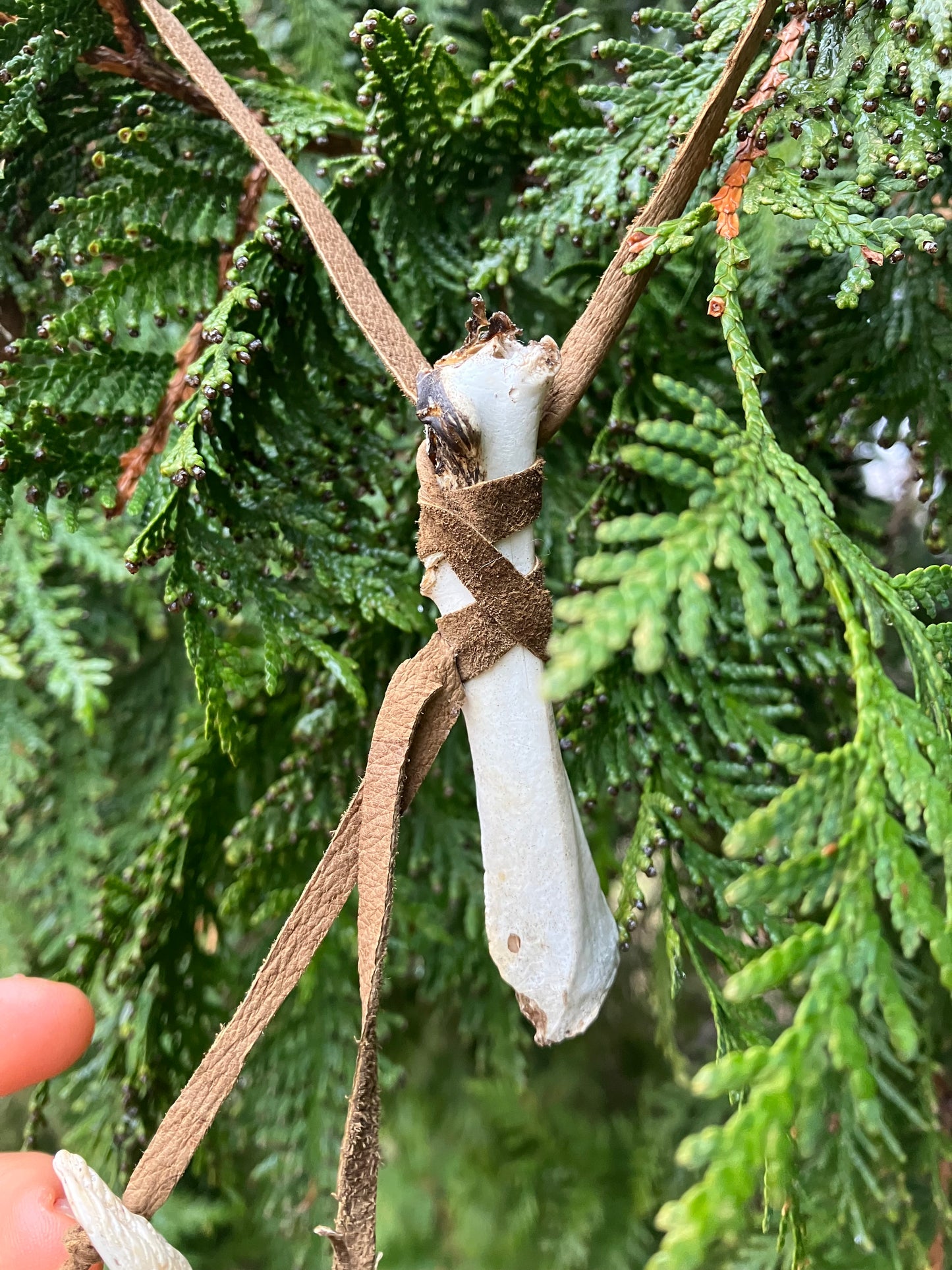 wildcrafted bone , feather & shell leather accessory piece