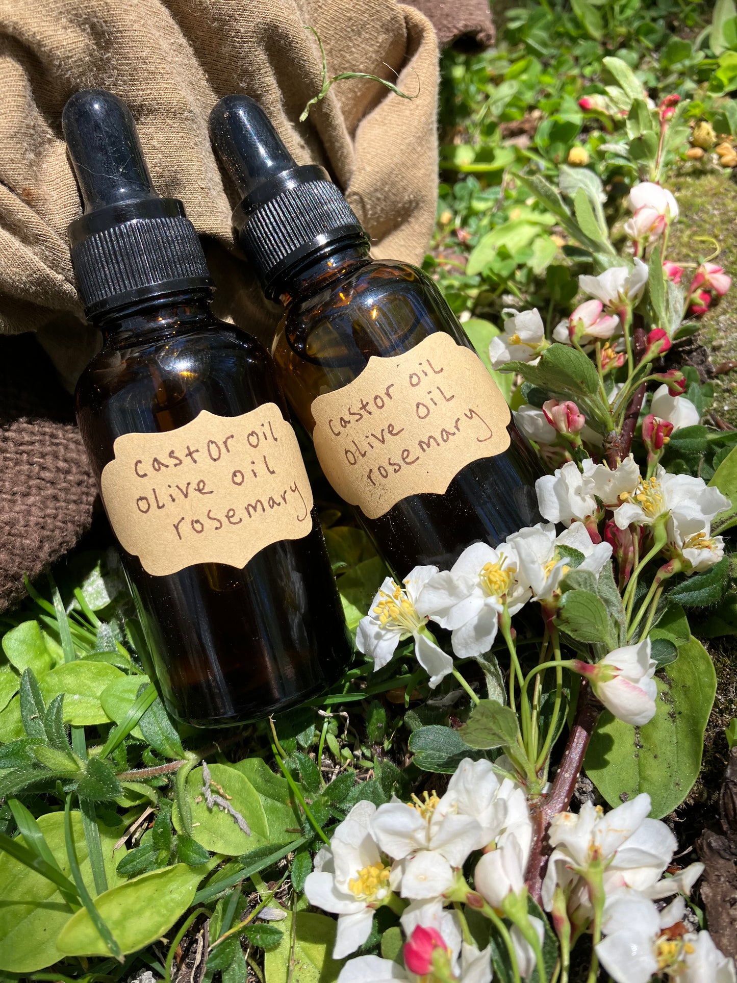 rosemary massage oil • raw